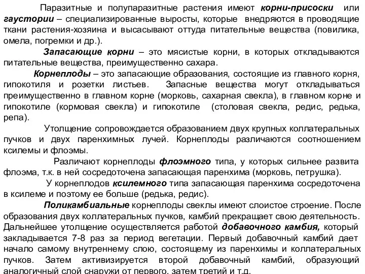 Паразитные и полупаразитные растения имеют корни-присоски или гаустории – специализированные