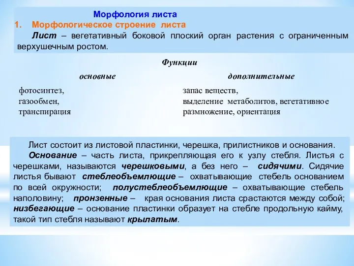 Морфология листа Морфологическое строение листа Лист – вегетативный боковой плоский