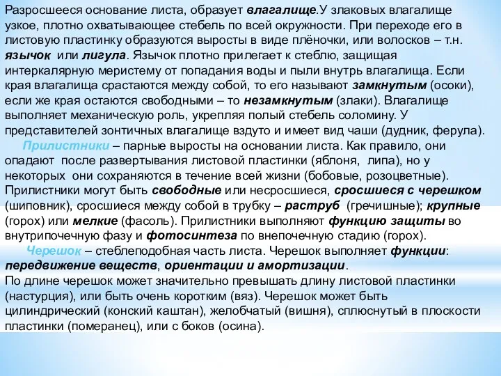 Разросшееся основание листа, образует влагалище.У злаковых влагалище узкое, плотно охватывающее