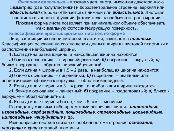 Листовая пластинка – плоская часть листа, имеющая двустороннюю симметрию (две