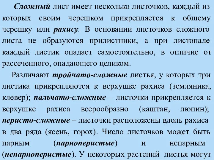 Классификация сложных листьев. Сложный лист имеет несколько листочков, каждый из