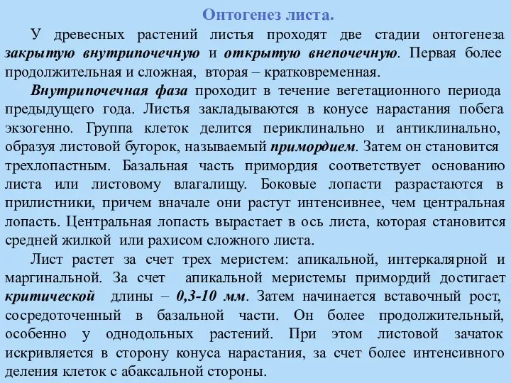 Онтогенез листа. У древесных растений листья проходят две стадии онтогенеза