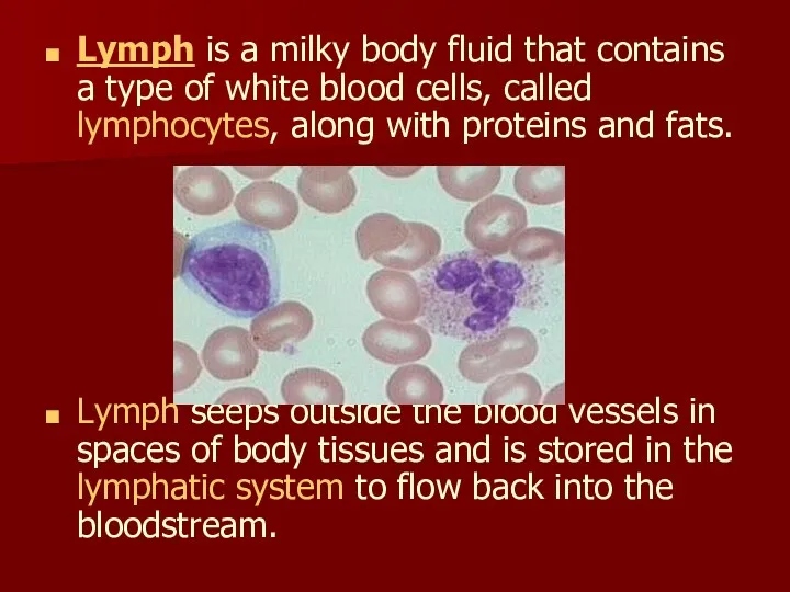 Lymph is a milky body fluid that contains a type