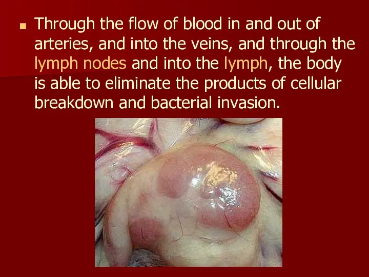 Through the flow of blood in and out of arteries,
