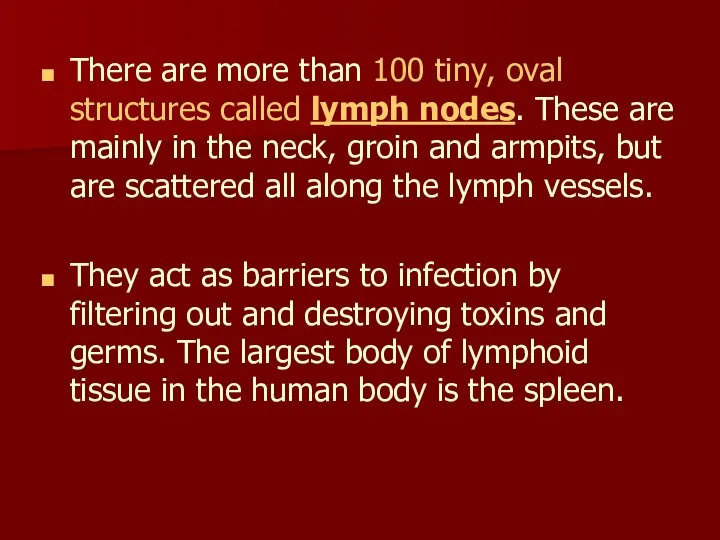 There are more than 100 tiny, oval structures called lymph