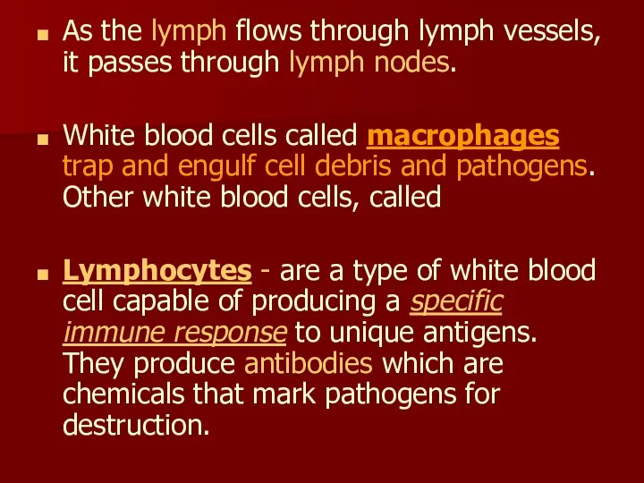 As the lymph flows through lymph vessels, it passes through