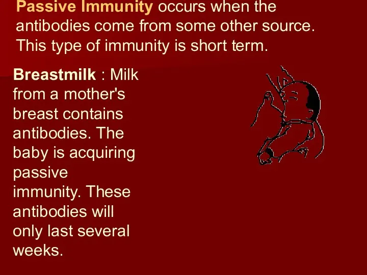 Passive Immunity occurs when the antibodies come from some other