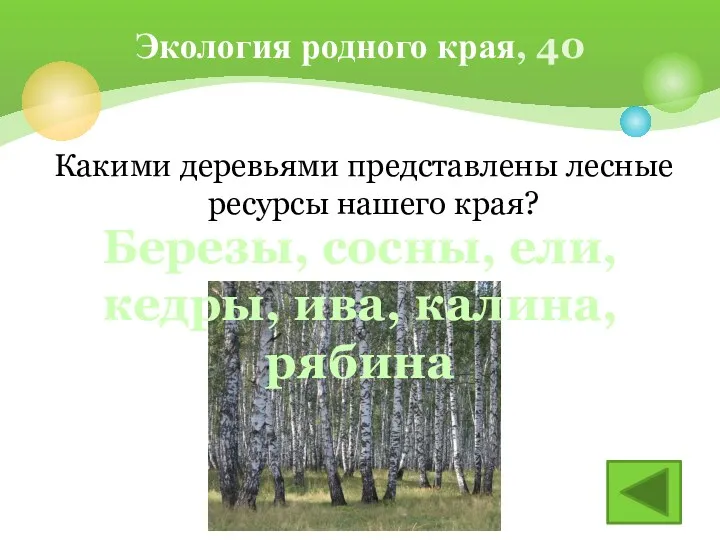 Какими деревьями представлены лесные ресурсы нашего края? Экология родного края,