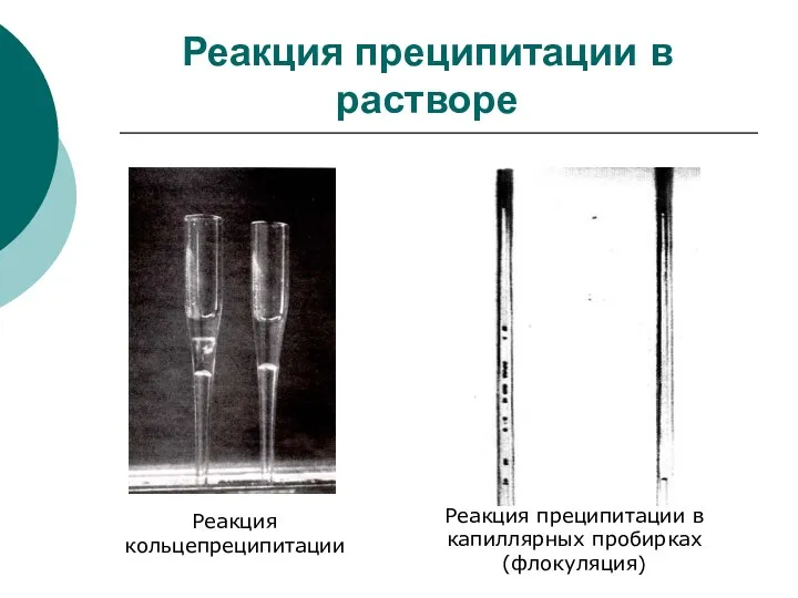 Реакция преципитации в растворе Реакция кольцепреципитации Реакция преципитации в капиллярных пробирках (флокуляция)