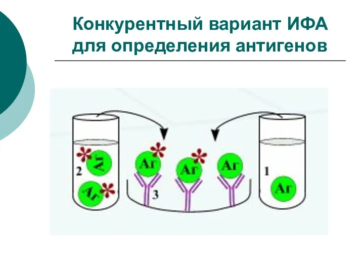 Конкурентный вариант ИФА для определения антигенов