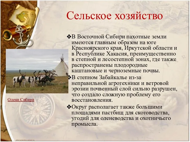 Сельское хозяйство В Восточной Сибири пахотные земли имеются главным образом