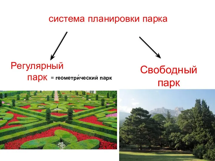 система планировки парка Регулярный парк Свободный парк = геометри́ческий парк