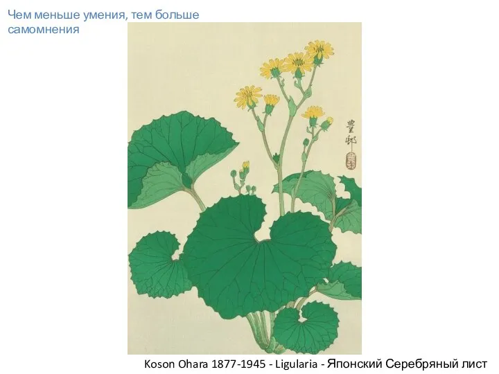 Чем меньше умения, тем больше самомнения Koson Ohara 1877-1945 - Ligularia - Японский Серебряный лист