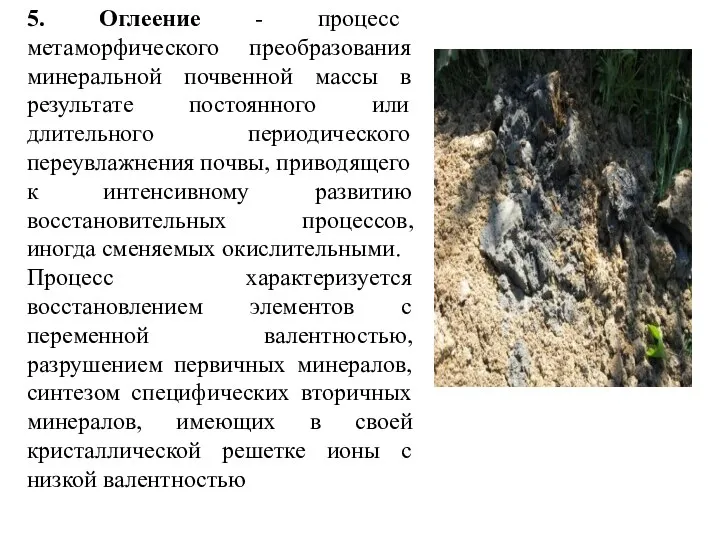 5. Оглеение - процесс метаморфического преобразования минеральной почвенной массы в