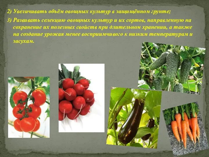 2) Увеличивать объём овощных культур в защищённом грунте; 3) Развивать