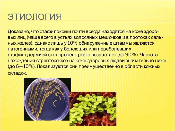 ЭТИОЛОГИЯ Доказано, что стафилококки почти всегда находятся на коже здоро-