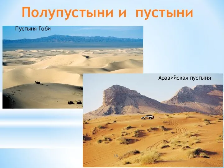 Полупустыни и пустыни Пустыня Гоби Аравийская пустыня
