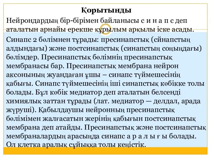 Қорытынды Нейрондардың бір-бірімен байланысы с и н а п с