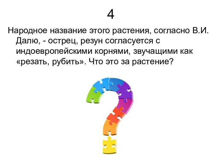 4 Народное название этого растения, согласно В.И. Далю, - острец, резун согласуется с