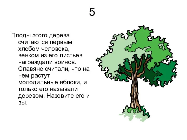 5 Плоды этого дерева считаются первым хлебом человека, венком из его листьев награждали