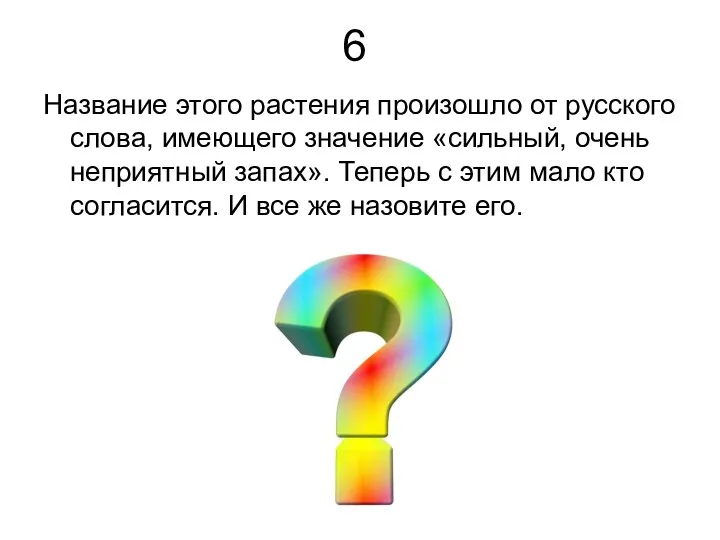 6 Название этого растения произошло от русского слова, имеющего значение «сильный, очень неприятный