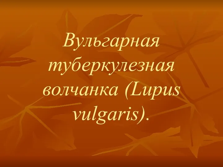 Вульгарная туберкулезная волчанка (Lupus vulgaris).