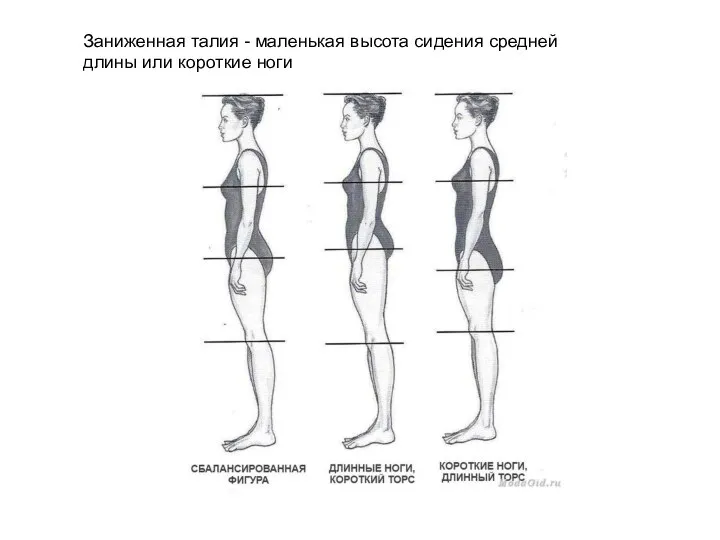 Заниженная талия - маленькая высота сидения средней длины или короткие ноги