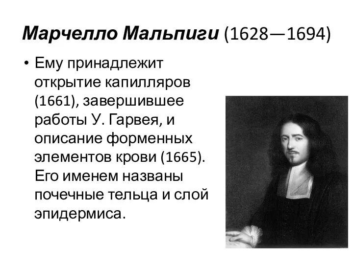 Марчелло Мальпиги (1628—1694) Ему принадлежит открытие капилляров (1661), завершившее работы