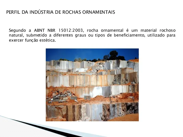 PERFIL DA INDÚSTRIA DE ROCHAS ORNAMENTAIS Segundo a ABNT NBR