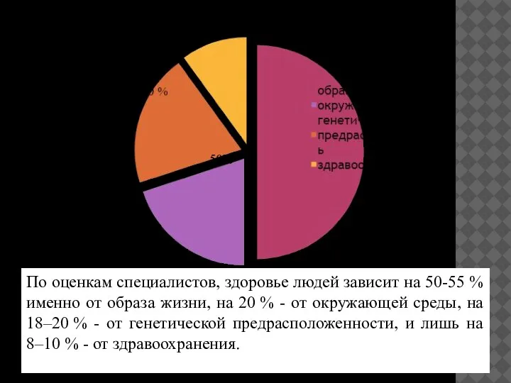 По оценкам специалистов, здоровье людей зависит на 50-55 % именно