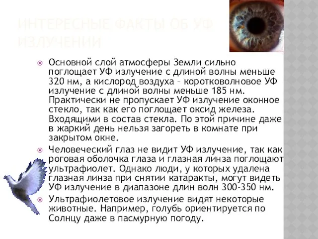 ИНТЕРЕСНЫЕ ФАКТЫ ОБ УФ ИЗЛУЧЕНИИ Основной слой атмосферы Земли сильно