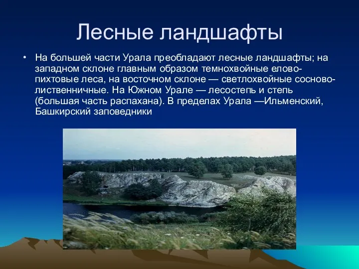 Лесные ландшафты На большей части Урала преобладают лесные ландшафты; на
