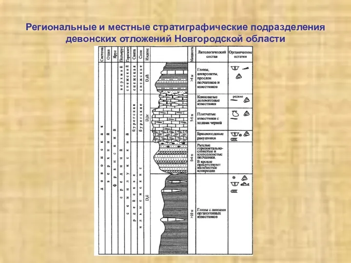 Региональные и местные стратиграфические подразделения девонских отложений Новгородской области