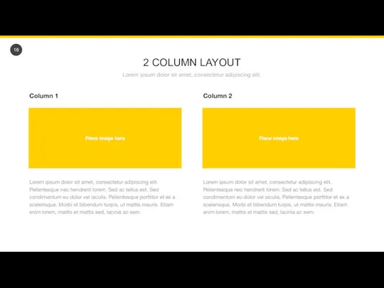 2 COLUMN LAYOUT Lorem ipsum dolor sit amet, consectetur adipiscing