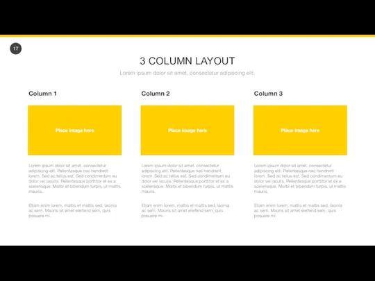 3 COLUMN LAYOUT Lorem ipsum dolor sit amet, consectetur adipiscing