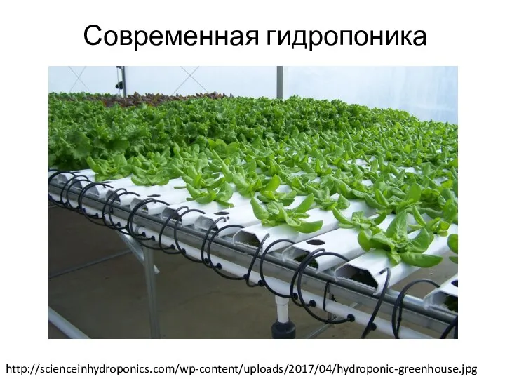 Современная гидропоника http://scienceinhydroponics.com/wp-content/uploads/2017/04/hydroponic-greenhouse.jpg