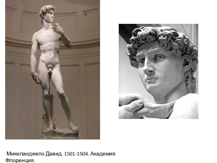 Микеланджело Давид. 1501-1504. Академия Флоренция.