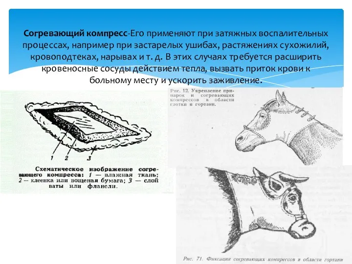 Согревающий компресс-Его применяют при затяжных воспалительных процессах, например при застарелых