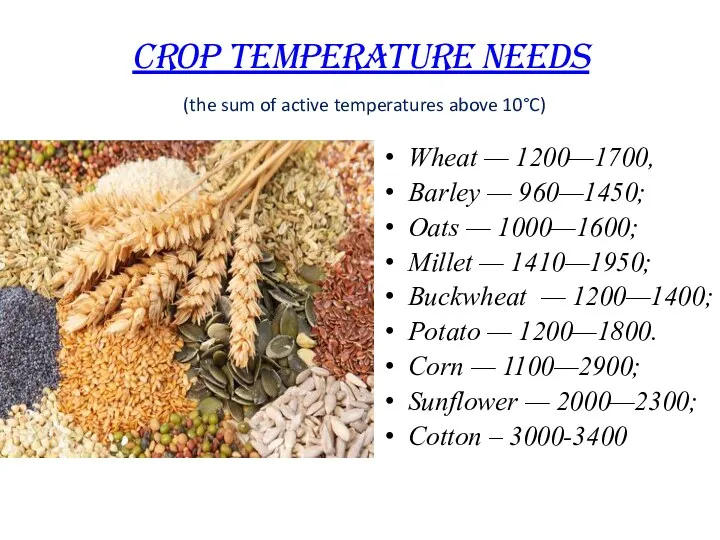 CROP TEMPERATURE NEEDS (the sum of active temperatures above 10°C)