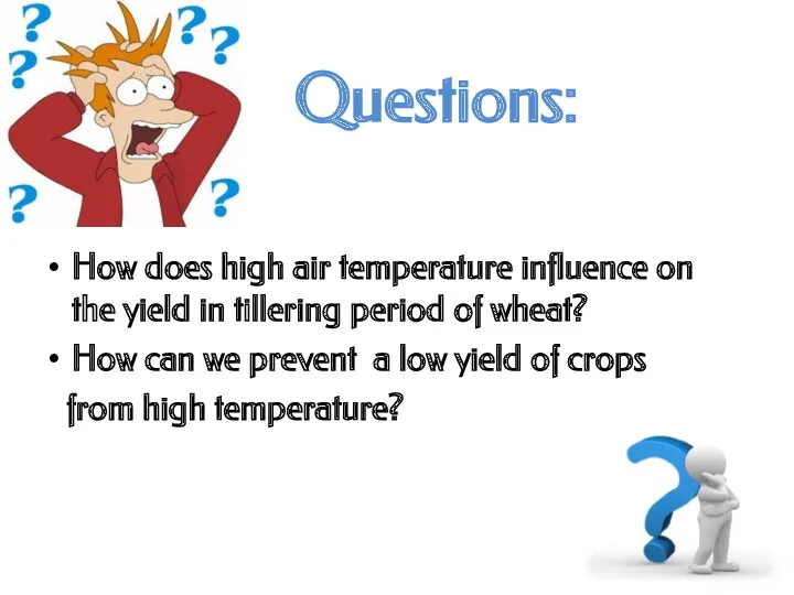 Questions: How does high air temperature influence on the yield