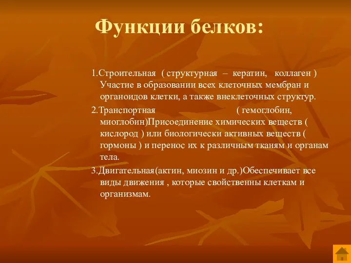 Функции белков: 1.Строительная ( структурная – кератин, коллаген )Участие в