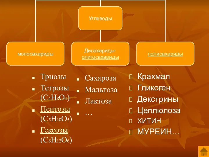 Триозы Тетрозы (С4Н8О4) Пентозы (С5Н10О5) Гексозы (С6Н12О6) Сахароза Мальтоза Лактоза