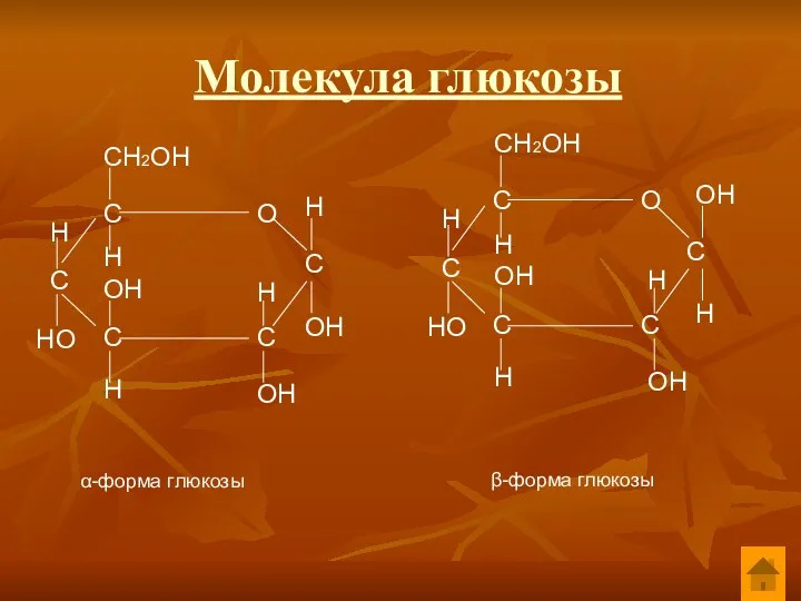 Молекула глюкозы α-форма глюкозы СН2ОН Н Н Н Н ОН НО Н ОН ОН β-форма глюкозы