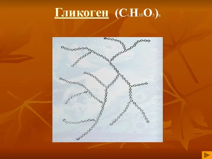 Гликоген (С6Н10О5)n