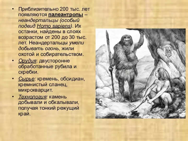Приблизительно 200 тыс. лет появляются палеантропы – неандертальцы (особый подвид Homo sapiens). Их