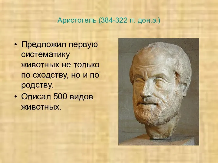 Аристотель (384-322 гг. дон.э.) Предложил первую систематику животных не только по сходству, но