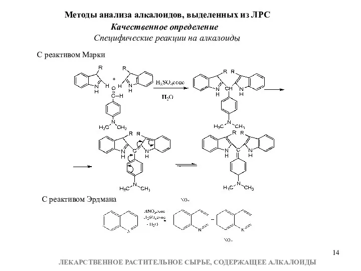 Методы анализа алкалоидов, выделенных из ЛРС Качественное определение Специфические реакции