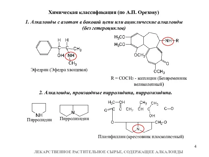 Химическая классификация (по А.П. Орехову) 1. Алкалоиды с азотом в боковой цепи или