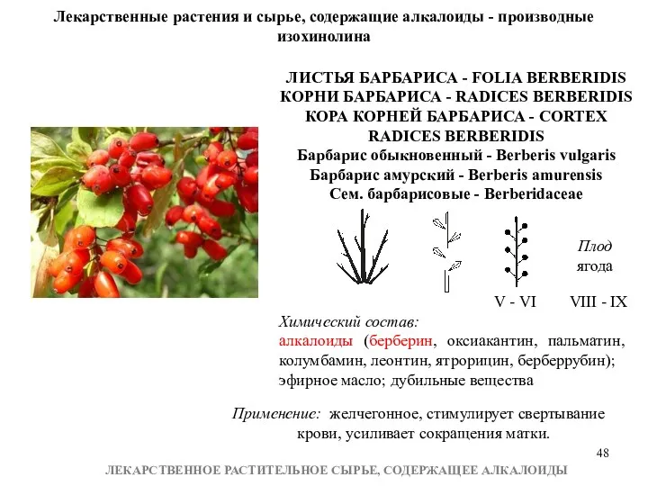 ЛЕКАРСТВЕННОЕ РАСТИТЕЛЬНОЕ СЫРЬЕ, СОДЕРЖАЩЕЕ АЛКАЛОИДЫ Лекарственные растения и сырье, содержащие алкалоиды - производные