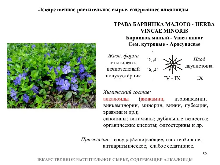 Лекарственное растительное сырье, содержащее алкалоиды ЛЕКАРСТВЕННОЕ РАСТИТЕЛЬНОЕ СЫРЬЕ, СОДЕРЖАЩЕЕ АЛКАЛОИДЫ ТРАВА БАРВИНКА МАЛОГО